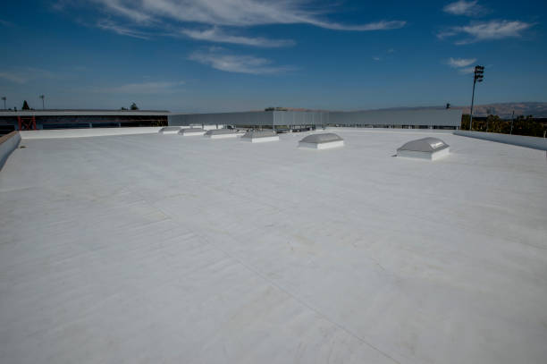 Best Skylight Installation and Repair  in Millersburg, OH