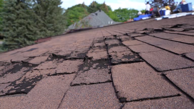 Best Green or Eco-Friendly Roofing Solutions  in Millersburg, OH