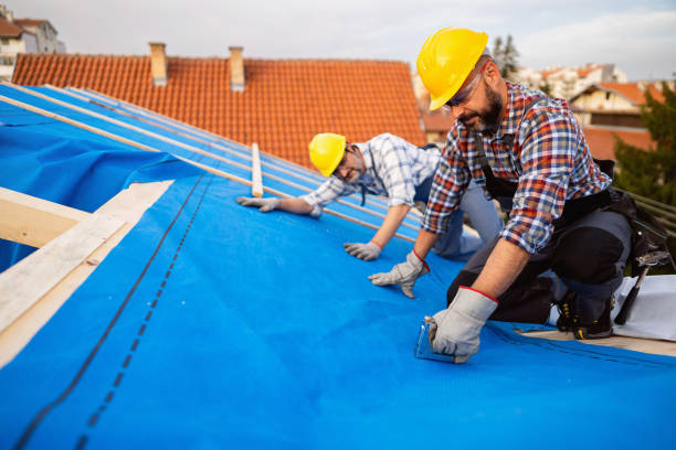 Best Cold Roofs  in Millersburg, OH