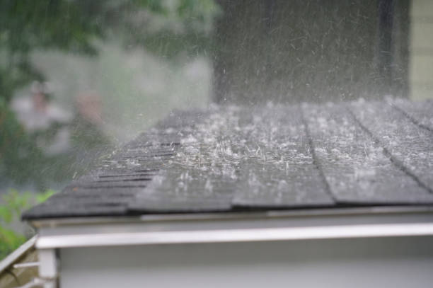 Best Asphalt Shingles Roofing  in Millersburg, OH