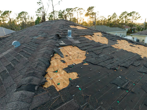 Best Roof Moss and Algae Removal  in Millersburg, OH